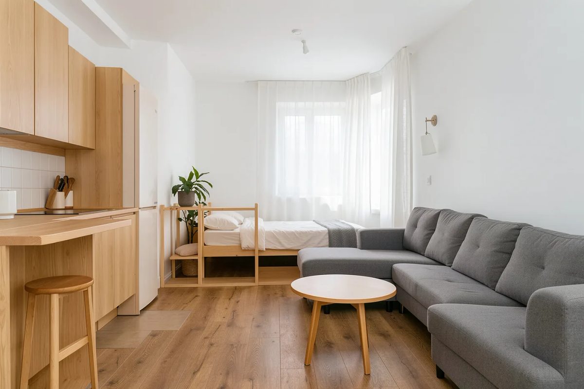 Квартира-студия 25 м² в скандинавском стиле, общий план