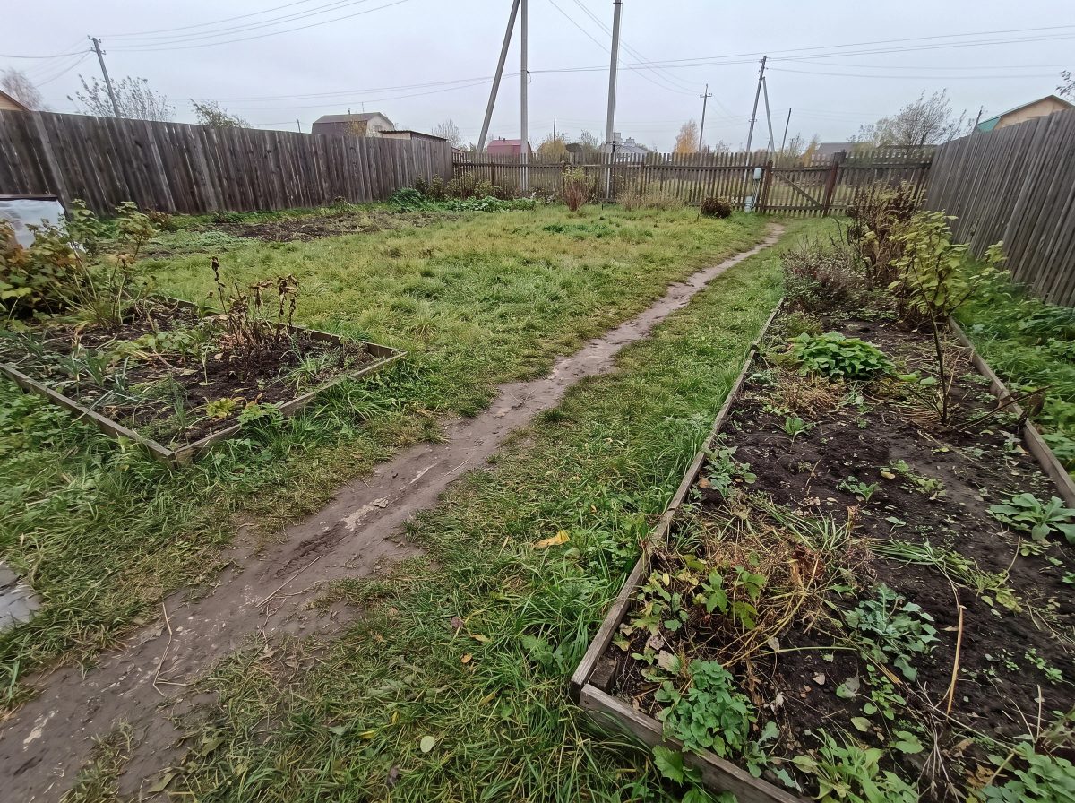 протоптанная тропа через газон в саду до благоустройства